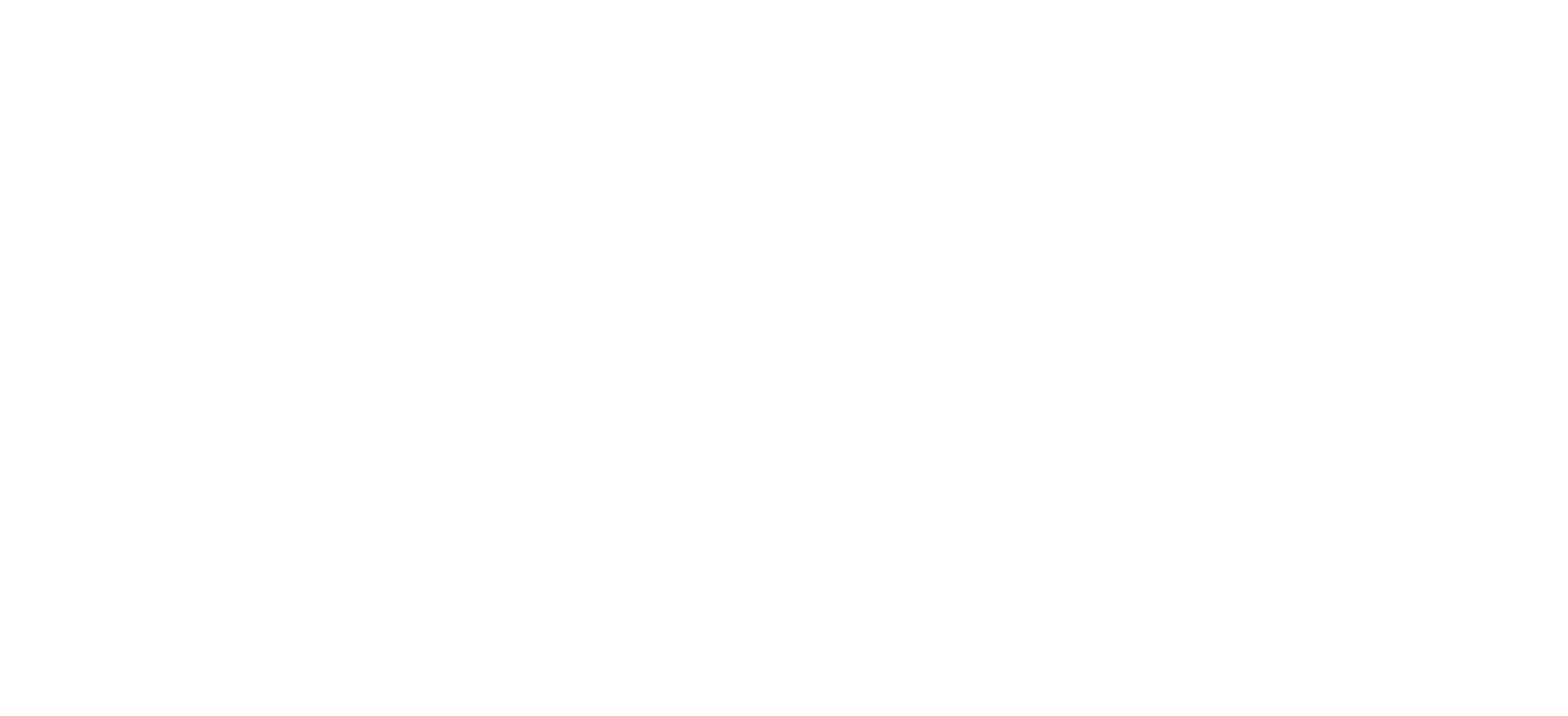 logo Baliwangiclean all white